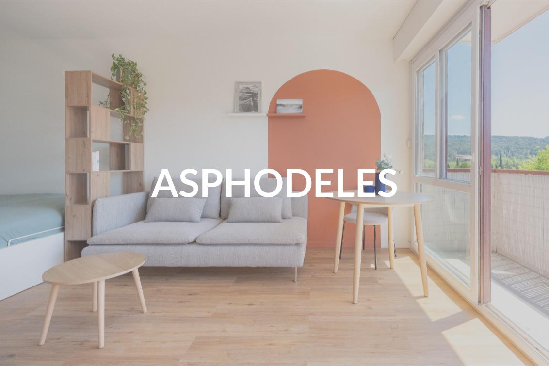 Projet ASPHODELES _ CASA H