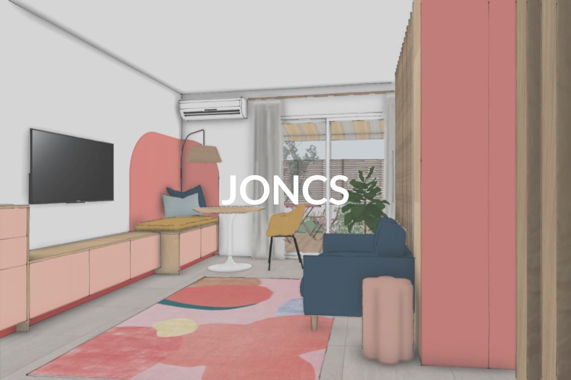 Projets CASA H _ En cours _ JONCS